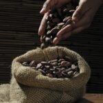 cocoa beans, hands, sack-499970.jpg